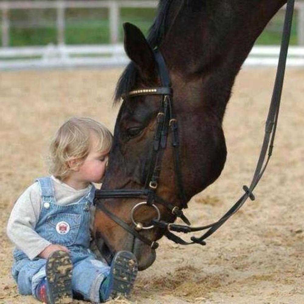 Meet your Posher, Jean